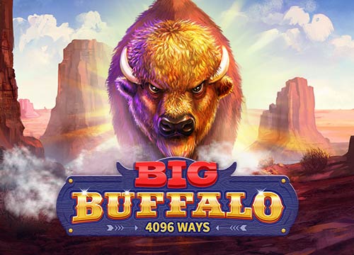 Big Buffalo