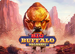 Big Buffalo Megaways